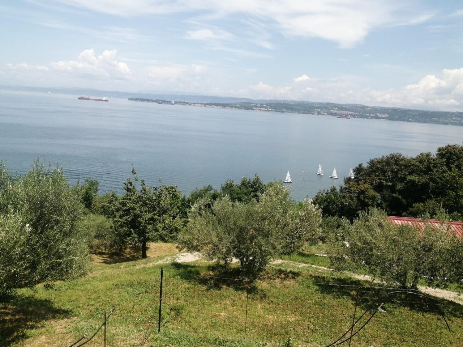 Apartma Panorama Apartment Koper Luaran gambar